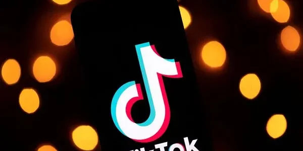 TikTok, Court , Election